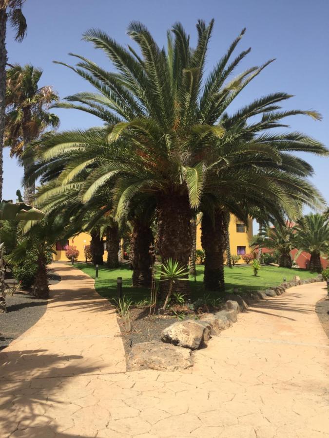 Corralejo Happy Place, Precioso Apartamento Con Piscina Экстерьер фото